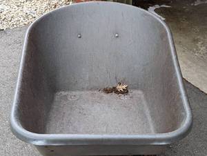 lot 95 image: True Temper Wheelbarrow