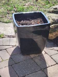 Contemporary Ceramic Planters