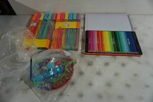 Colored Pencil Set and Bubble Wands
