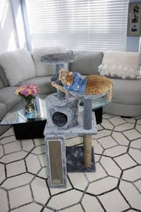 Cat Craft 45 Cat Playset