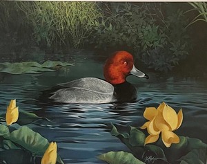 lot 382 image: Unframed Wildlife Art
