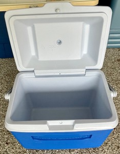 lot 398 image: Lot of Igloo and Rubbermaid Coolers