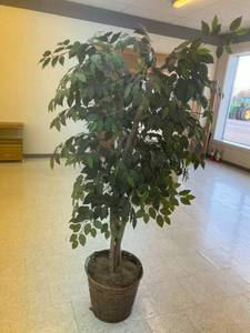 lot 51 image: Faux Potted Tree