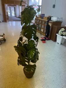 lot 89 image: Faux Potted Tree