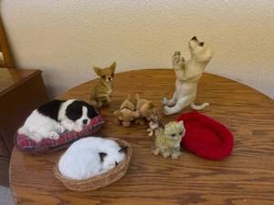 lot 159 image: Dogs & Cats