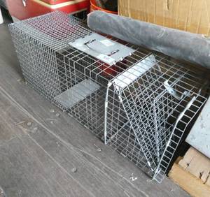 Large live trap