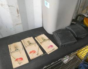 Waste basket with 2 mouse traps and 3 rat traps