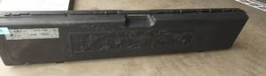 Plastic gun case with padding