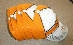 6 new Tennessee hats