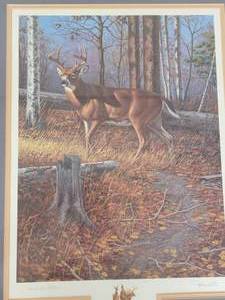 Leo Stans Woodland Print Buck Limited Print