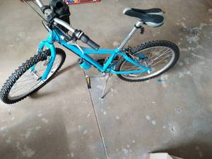 Giant Bike