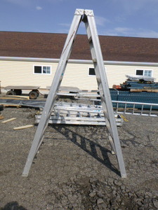 Werner Step Ladder