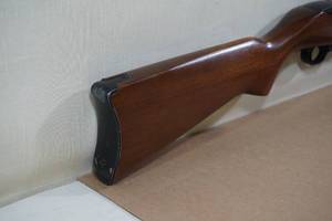 Ruger 1022 .22 LR Semi-Automatic Rifle