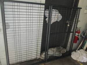 2 metal panels 6 foot x 58 inch ...