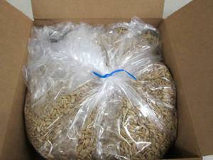 6lbs of sunflower kernels light roa...