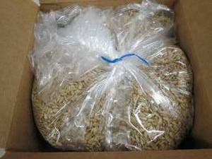 6lbs of sunflower kernels light roa...