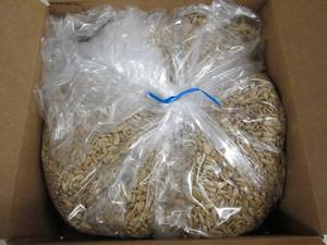 6lbs of sunflower kernels light roa...
