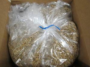 6lbs of sunflower kernels light roa...