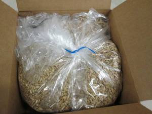 6lbs of sunflower kernels light roa...