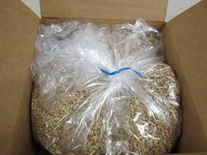6lbs of sunflower kernels light roa...