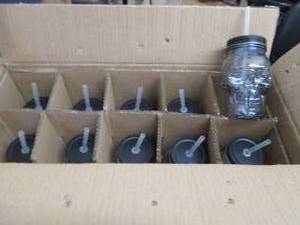 Case of 10 Glass Skull Sippers...