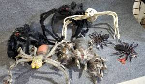 lot 46 image: Spider Props