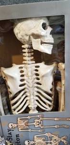 lot 50 image: Pose and Stay Skeleton