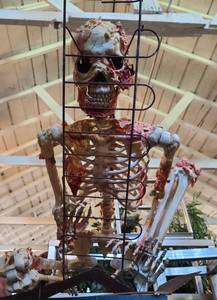 lot 219 image: Squatting Skeleton