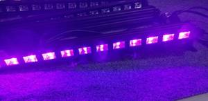 lot 99 image: (6) LED Black Lights 24