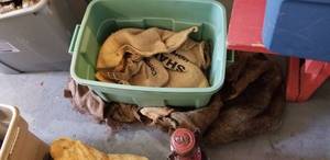 lot 62 image: Assortment of Decor for Trapper Room