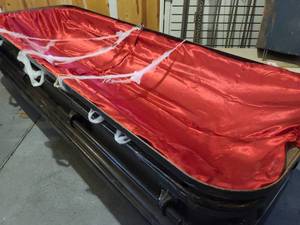 lot 67 image: Metal Realistic Coffin