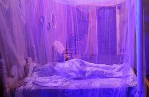 lot 224 image: Bed and Lift for Exorcist Room