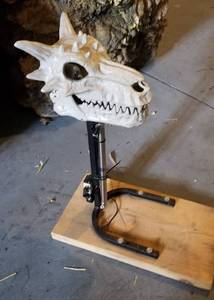 lot 211 image: Pop Up Dragon Head