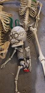 lot 280 image: Skeletons