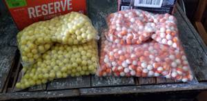 lot 12A image: Paintballs
