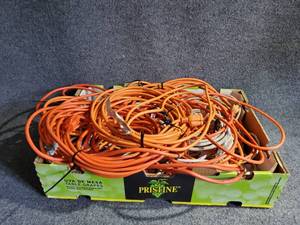 lot 89 image: Extension Cords, Medium Size