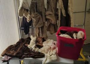 lot 297 image: Furs