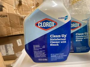 lot 17 image: Clorox Clean-Up