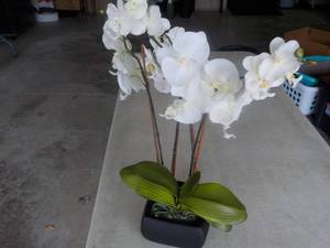 Artificial Plant Dcor 23 tall...
