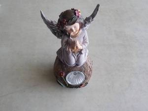 Angel Solar Spotlight...