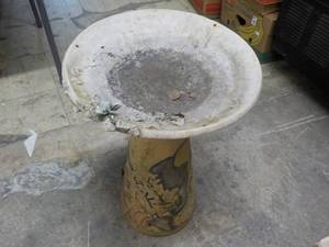 Bird Bath...
