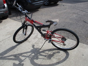 lot 67 image: Vertical Aftershock Bike