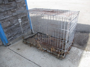 lot 79 image: Huge Dog Kennel