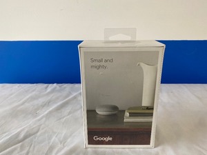 GOOGLE NEST MINI GRAY