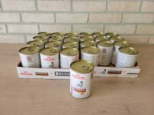Lot of (24) Cans Royal Canin Gastrointestinal Dog Food - Exp Mar 2024