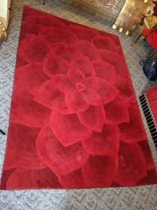 lot 39 image: Beautiful Bright Red Pier 1 Imports Floral Area Rug