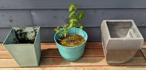 lot 172 image: Set of (3) Small Planters