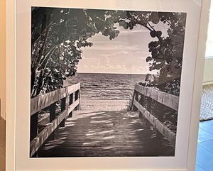 lot 142 image: Wonderful White and Black Framed Photo