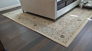 lot 12 image: Safavieh Ivory and Grey Florenteen Area Rug
