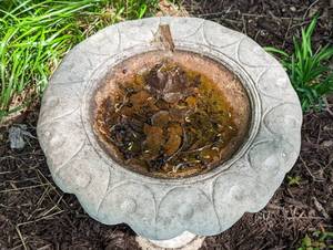 lot 107 image: Cement Bird Bath